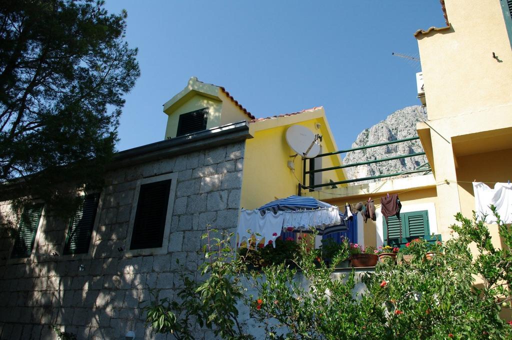 Gal Podgora